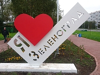 Зеленоград купить в Москве оптом и в розницу